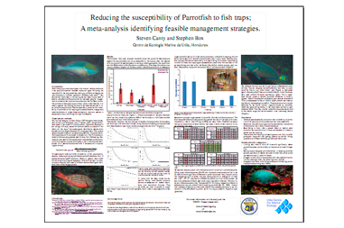 Reducing the Susceptibility of Parrotfish to Fish Traps